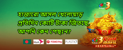 রয়্যাল জ্যাকপট অফার promotion